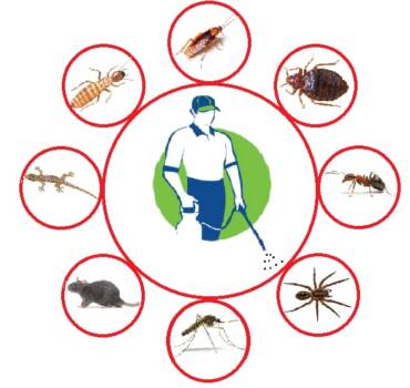General pest management