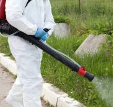 Mosquito control