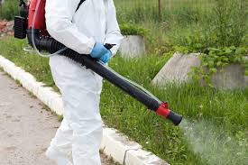 Mosquito control
